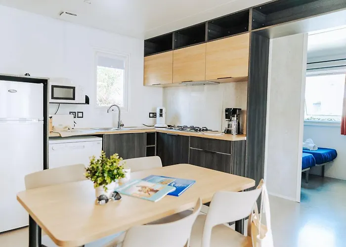 Mobil Avec Terrasse Au Calme - Api-1-52-1137 Saint-Jean-de-Monts